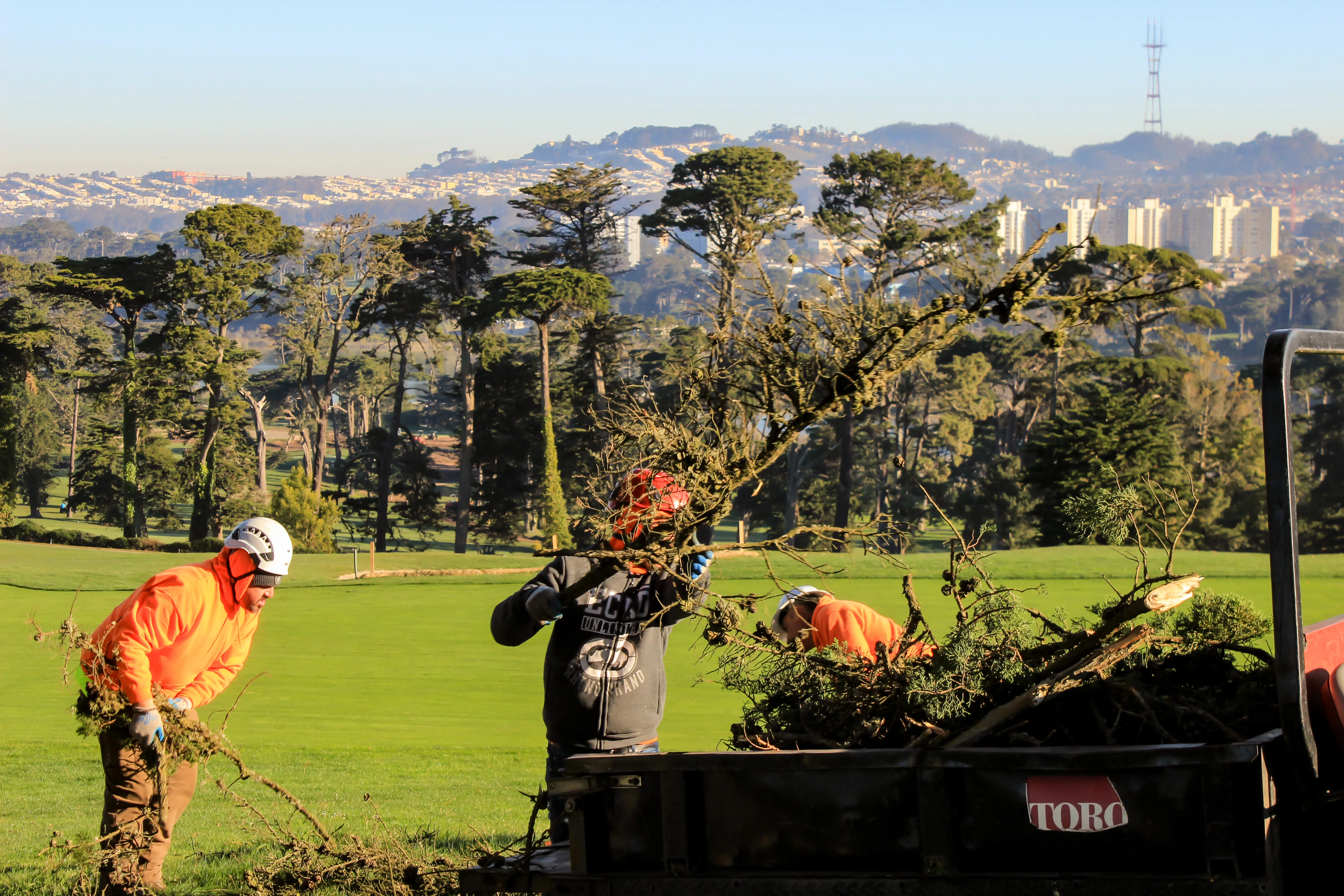 Workers from Onesource Tree Service removing tree branches in a park setting with trees and a cityscape in the background.