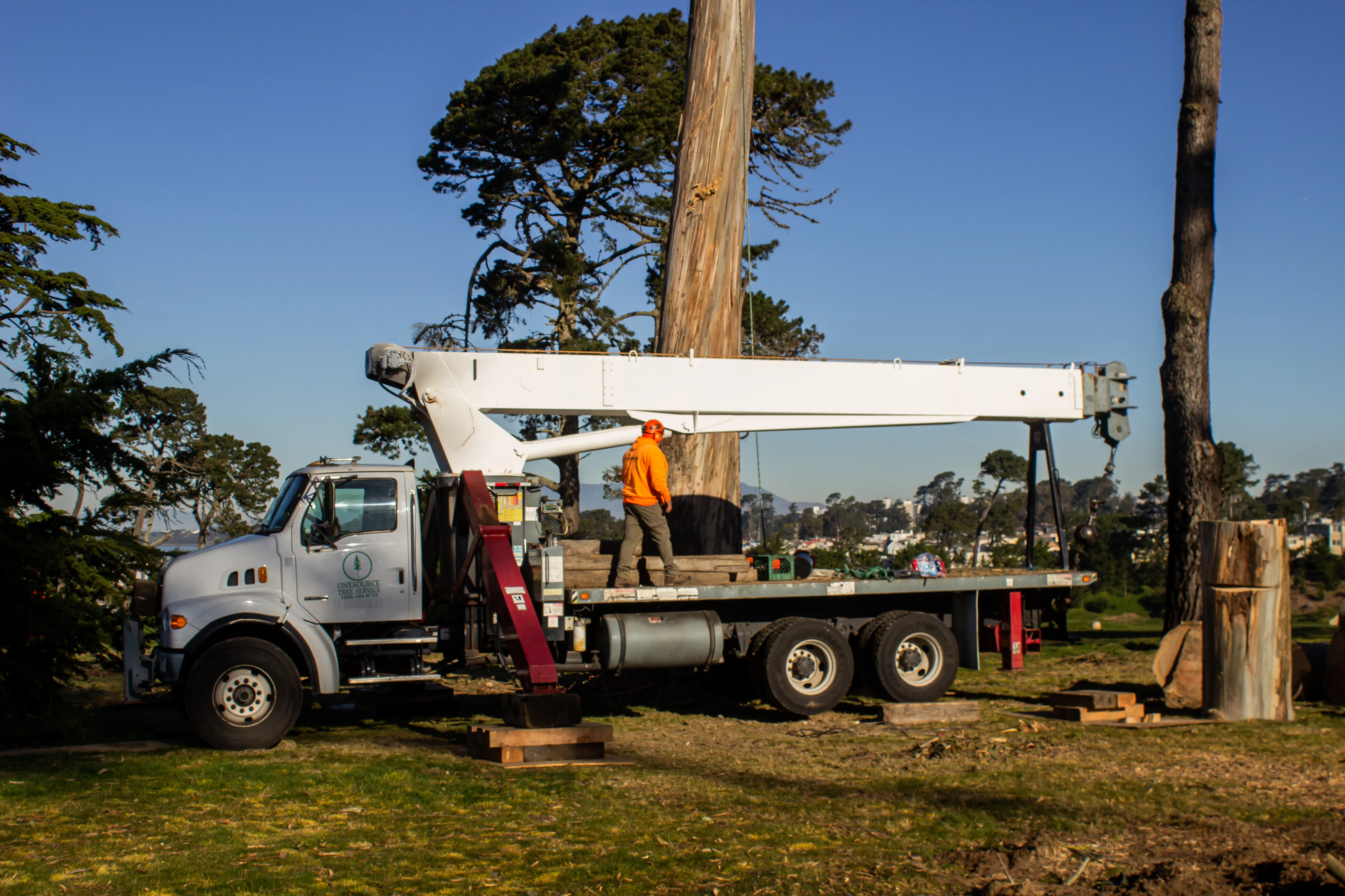 A worker from Onesource Tree Service operates a crane truck during a tree removal operation in Newark, with trees and a clear blue sky in the background.