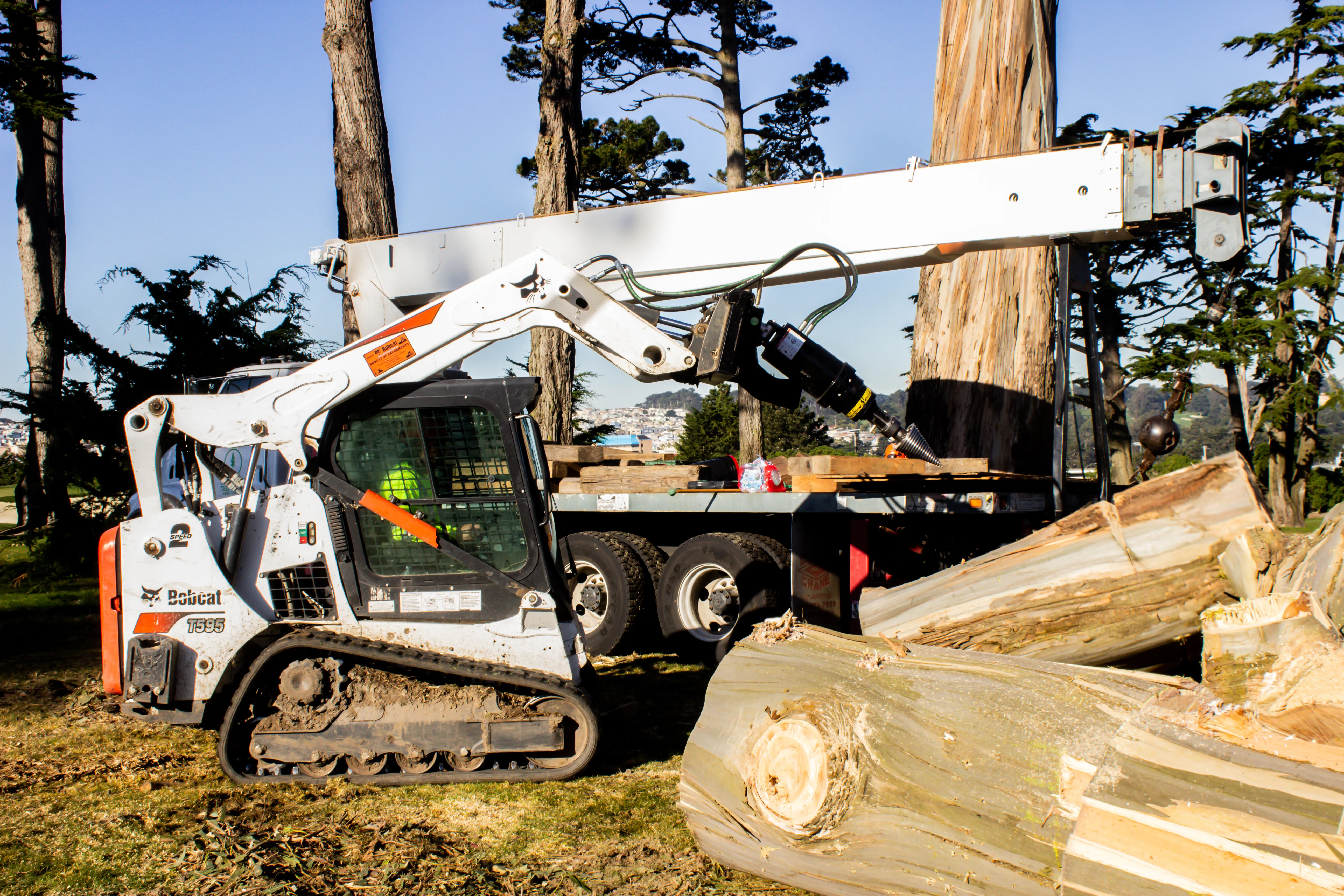 "An excavator from Onesource Tree Service removes a large tree in Newark, demonstrating efficient tree-cutting processes in a forested area."