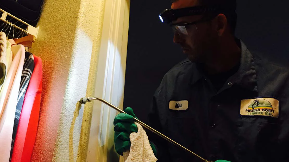 A Pacific Coast Termite technician in protective gear inspects a home wall with a tool in Fremont.
