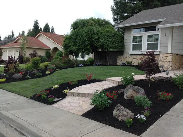 A landscaped front yard in Walnut Creek featuring neatly trimmed grass, a stone walkway, colorful flowers, and decorative rocks, designed by Pacific Landscaping.