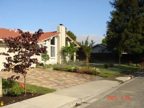 A landscaped front yard with a paved driveway, young trees, and flower beds in front of a house, part of Pacific Landscaping's work in Walnut Creek.