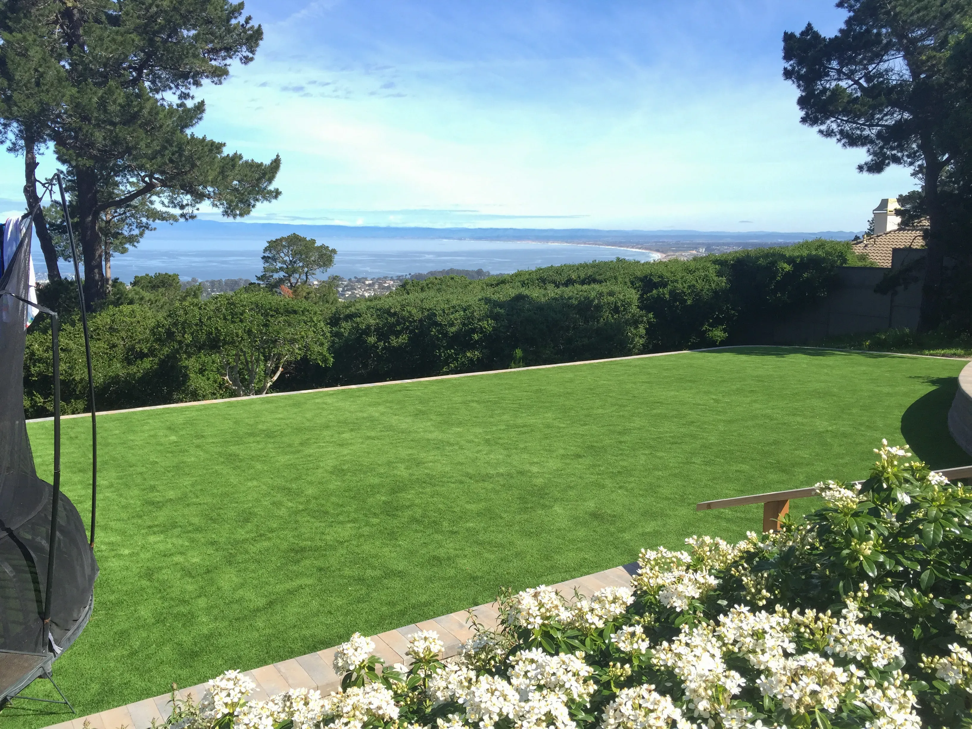 A beautifully manicured lawn with a view of the ocean, surrounded by trees and flowering bushes, showcasing the landscaping work of Pacific Landscaping & Tree Service Inc. in Pacific Grove.