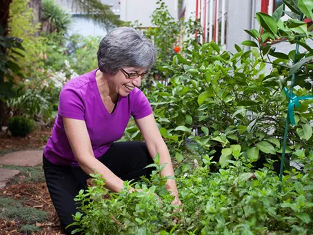 "A person tending to a lush green garden, surrounded by vibrant plants, in Berkeley, featured by Pipe Spy Inc."
