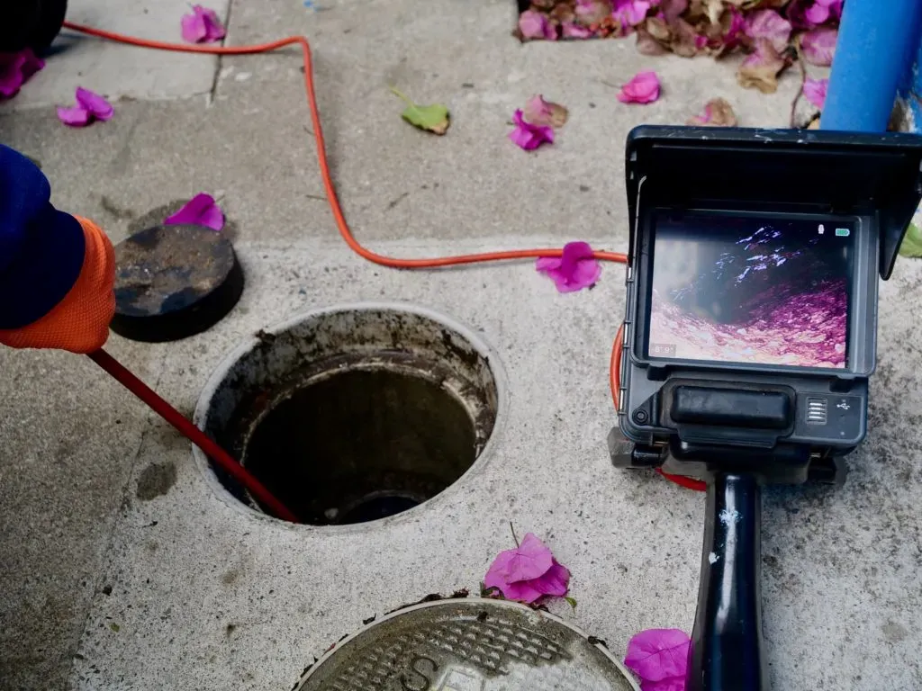 "A worker from Pipe Spy Inc. in Berkeley uses a camera inspection device to examine a sewer line, surrounded by scattered pink petals."