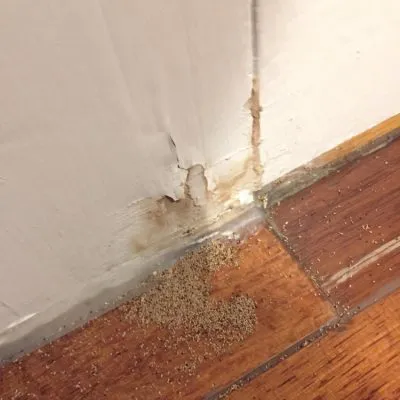 Image showing termite damage on a wooden floor next to a wall, featuring visible sawdust and structural damage.