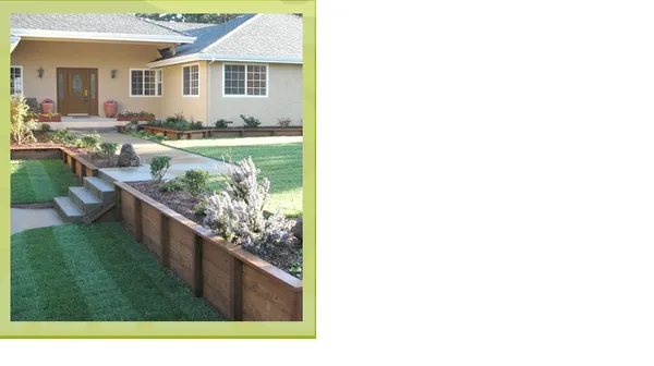 A well-maintained garden in front of a house, featuring neatly trimmed grass, a wooden raised bed with plants, and a concrete pathway, designed by Quilici Gardening in Santa Cruz.