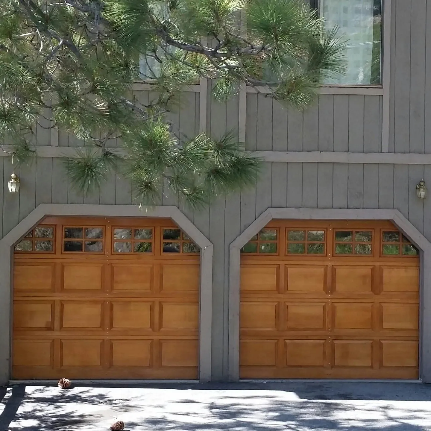 Two wooden garage doors with upper window panels, surrounded by gray paneling and pine branches overhead.