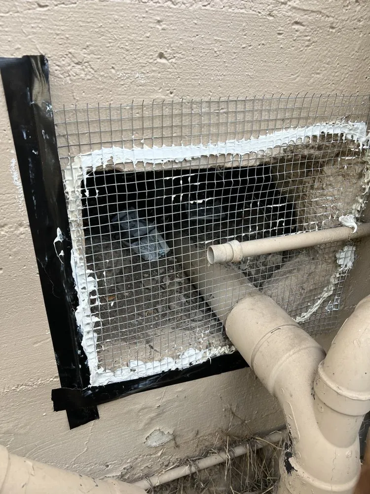 A mesh and sealant repair on an exterior wall with visible pipes, applied for pest control purposes.