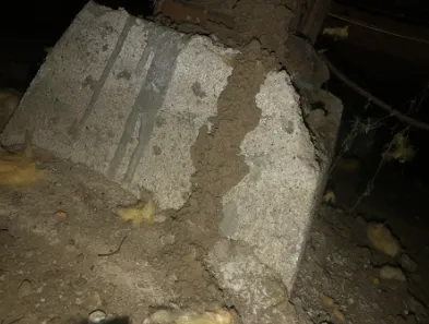 A concrete structure in Windsor showing signs of termite damage, highlighting the need for pest control intervention.