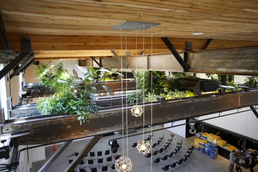 Interior of a building in Oakland featuring suspended greenery on metal beams, pendant lights, and rows of chairs in an open space, designed by Roberts Electric Company, Inc.