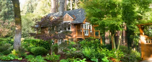 A house surrounded by lush, well-maintained greenery, showcasing the landscaping work of Sampson's Landscaping, Inc. in Novato.