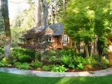 A beautifully landscaped garden with a variety of green plants, trees, and a small wooden house in the background, designed by Sampson's Landscaping, Inc. in Novato.