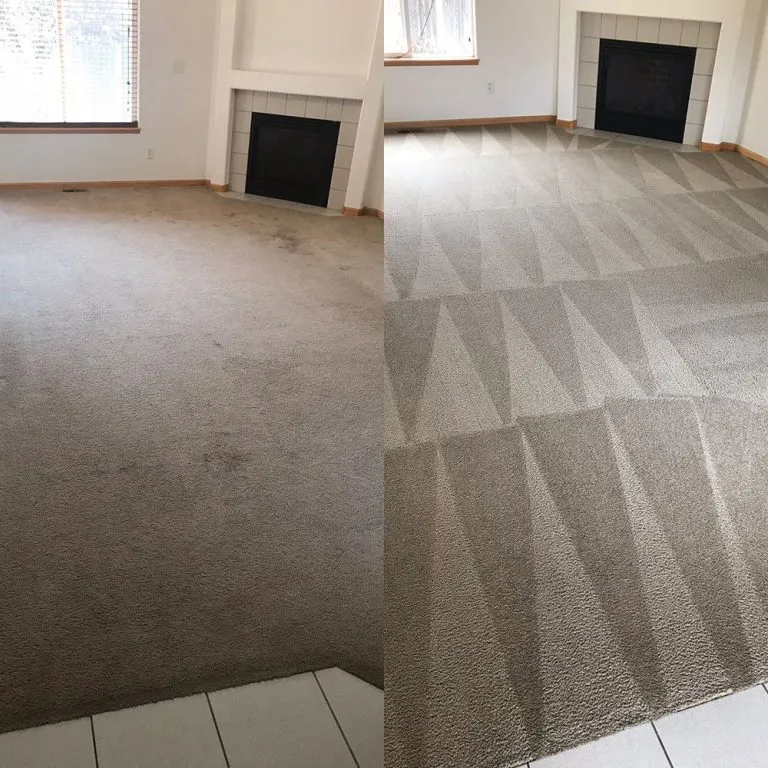 A before and after image showing a dirty carpet on the left and the same carpet, now clean and patterned, on the right, showcasing the effectiveness of Scotty Steam Clean in Santa Rosa.