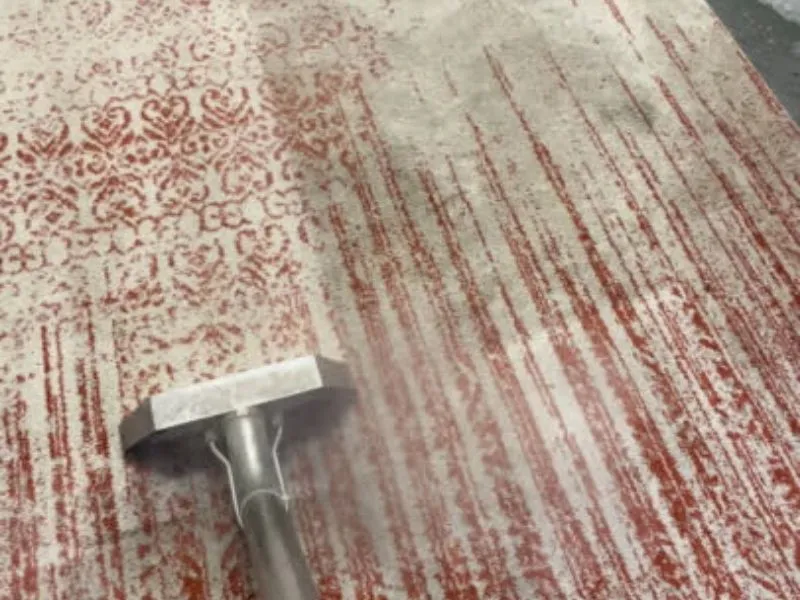 A steam cleaning tool effectively cleaning a patterned carpet, removing dirt to reveal its original colors.