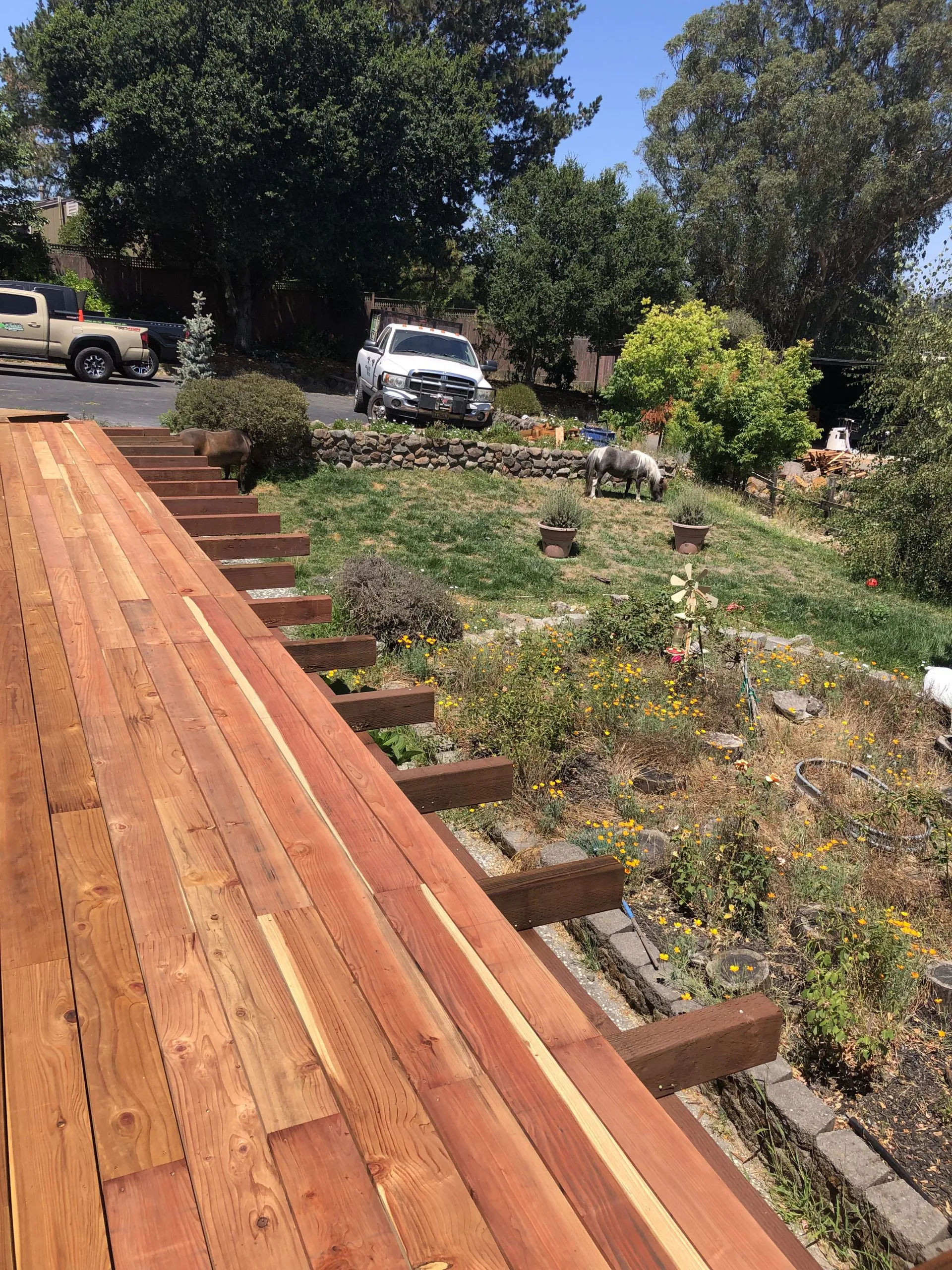 A partially constructed wooden deck overlooks a garden and lawn with a grazing pony nearby, accompanied by parked trucks in a tree-lined yard in Petaluma.