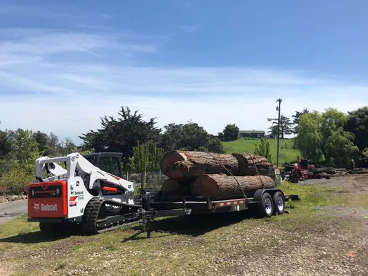 Bobcat machine transporting large tree logs on a trailer in an outdoor area.