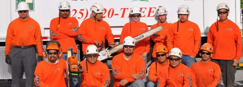 Group of workers from Terry's Tree Service, Inc. in Livermore wearing orange safety gear and helmets, posing in front of a service truck, holding chainsaws and other equipment.
