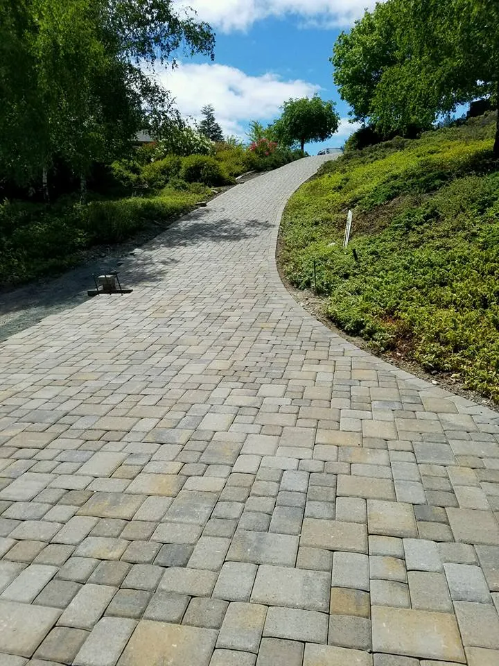 A curved, paved pathway with interlocking stones, bordered by lush greenery and leading uphill against a backdrop of trees and a blue sky.