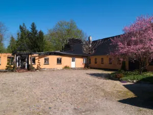 A brightly renovated building with fresh exterior paint surrounded by trees and blooming pink flowers, showcasing the work of Wine Country Painters, Inc. in Sebastopol.