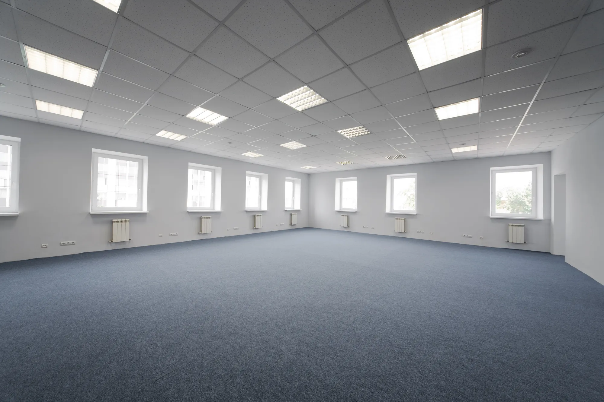 Spacious empty room with blue carpeting and white walls, featuring large windows and a grid-patterned ceiling with fluorescent lighting.